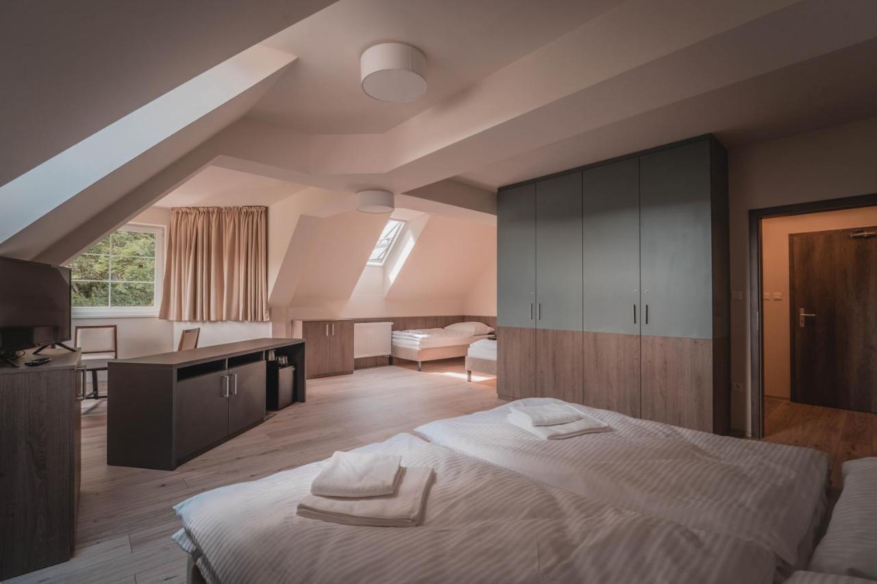 Wellness Penzión Smerdžonka - KÚPELE ČERVENÝ KLÁŠTOR Smerdžonka Cerveny Klástor Exterior foto